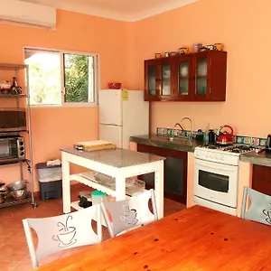 https://casa-gatos-suite-100.quintano-roohotels.com